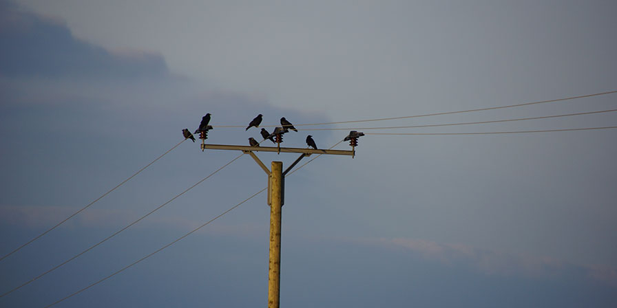 Ostrach - Vielfalt.Leben.Sein. Ostrach - Vielfalt.Leben.Sein.