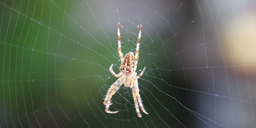 Ostrach - Vielfalt.Leben.Sein. Ostrach - Vielfalt.Leben.Sein.